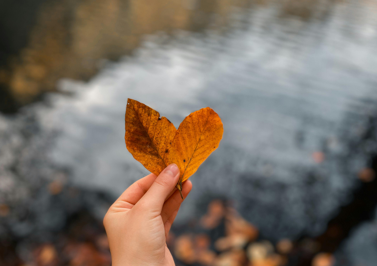 Autumn and longevity: how to support your health as the seasons change