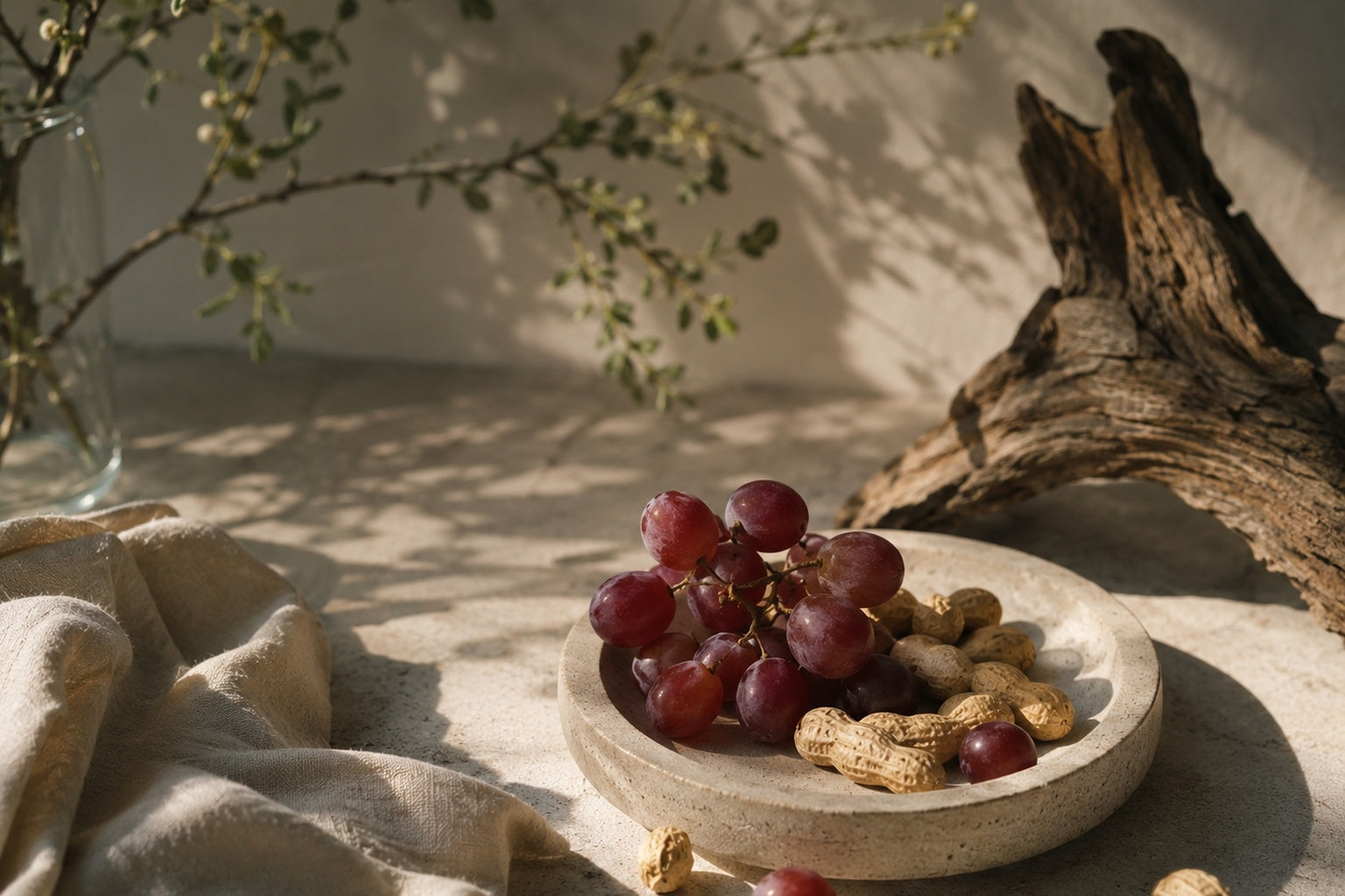 Resveratrol and cellular ageing: why this polyphenol matters in longevity science?