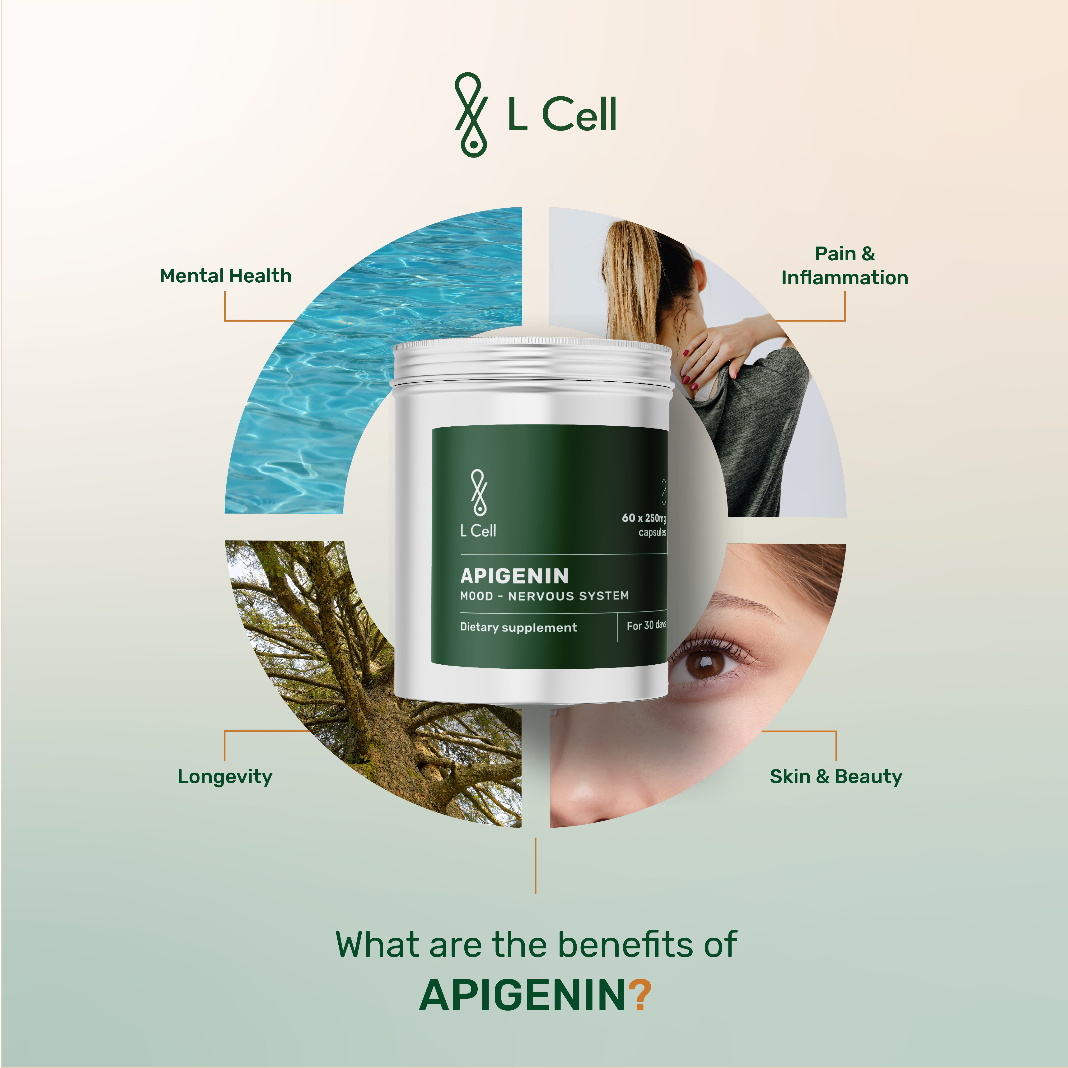 Apigenin Powder 30g (60 servings, >98% purity)