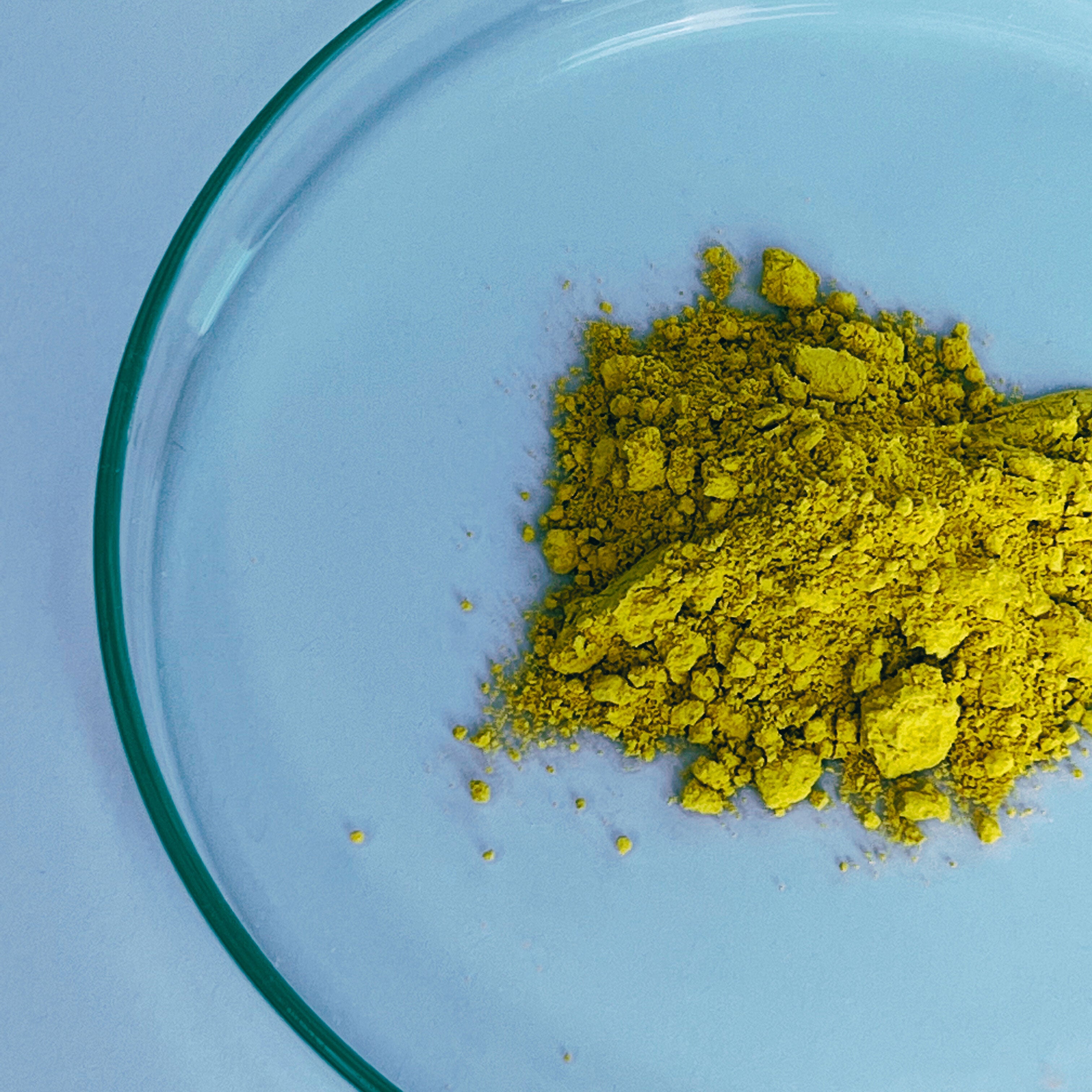Fisetin Powder 15g (30 servings, >98% purity)