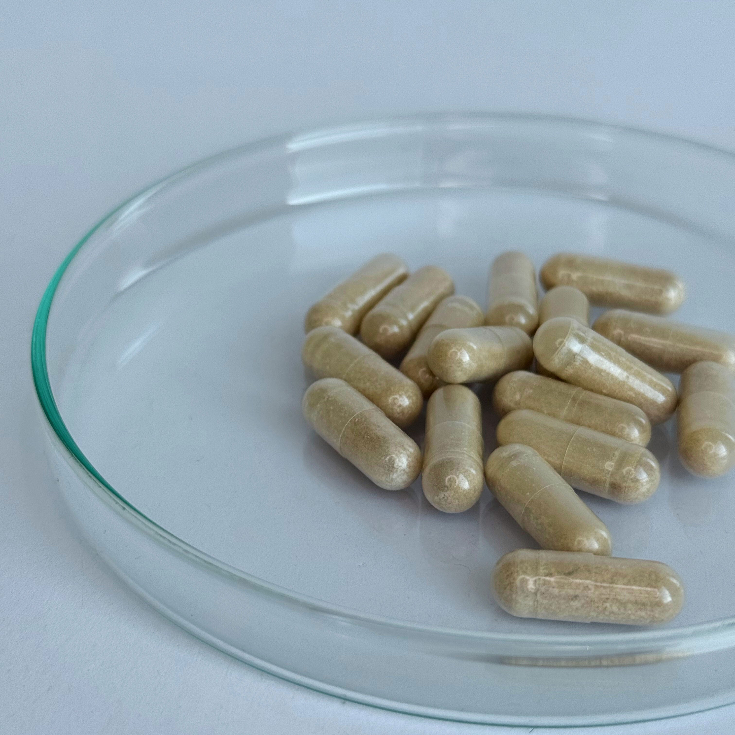 L-Theanine Capsules 200mg (30 servings, 30 caps)
