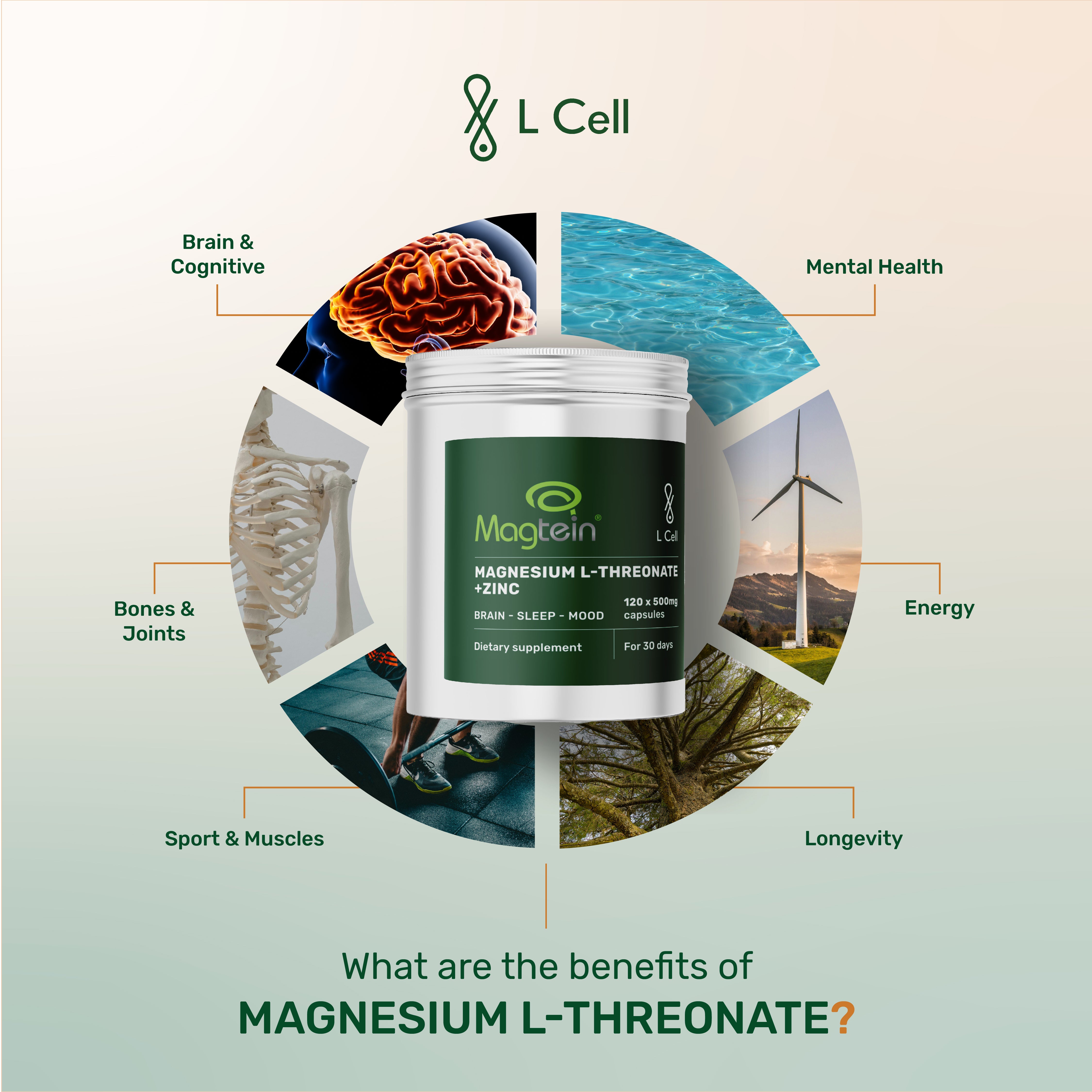 Magnesium L-Threonate Powder 60g (30 servings, >99% purity)