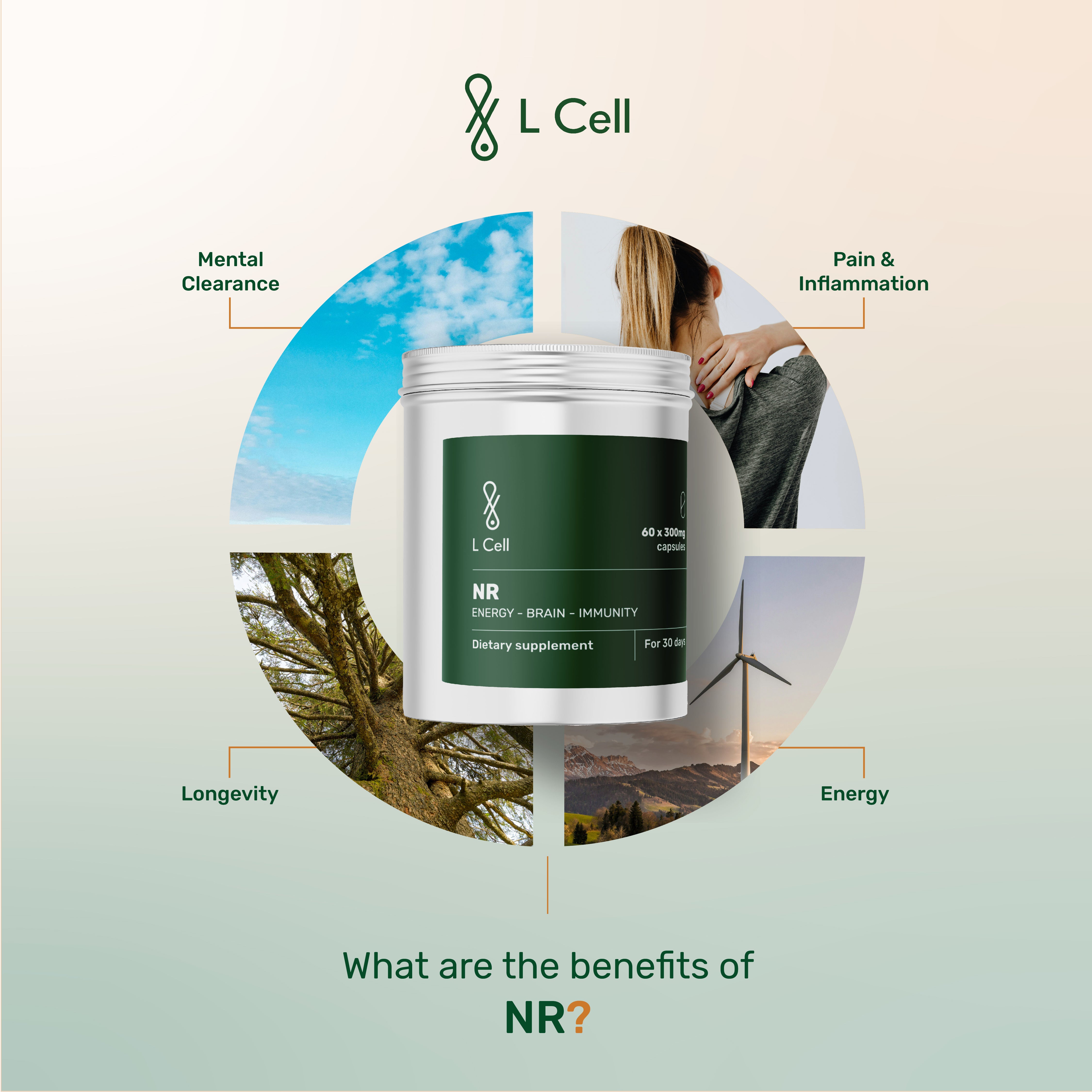 NR Powder 24g (60 servings, >98% purity)
