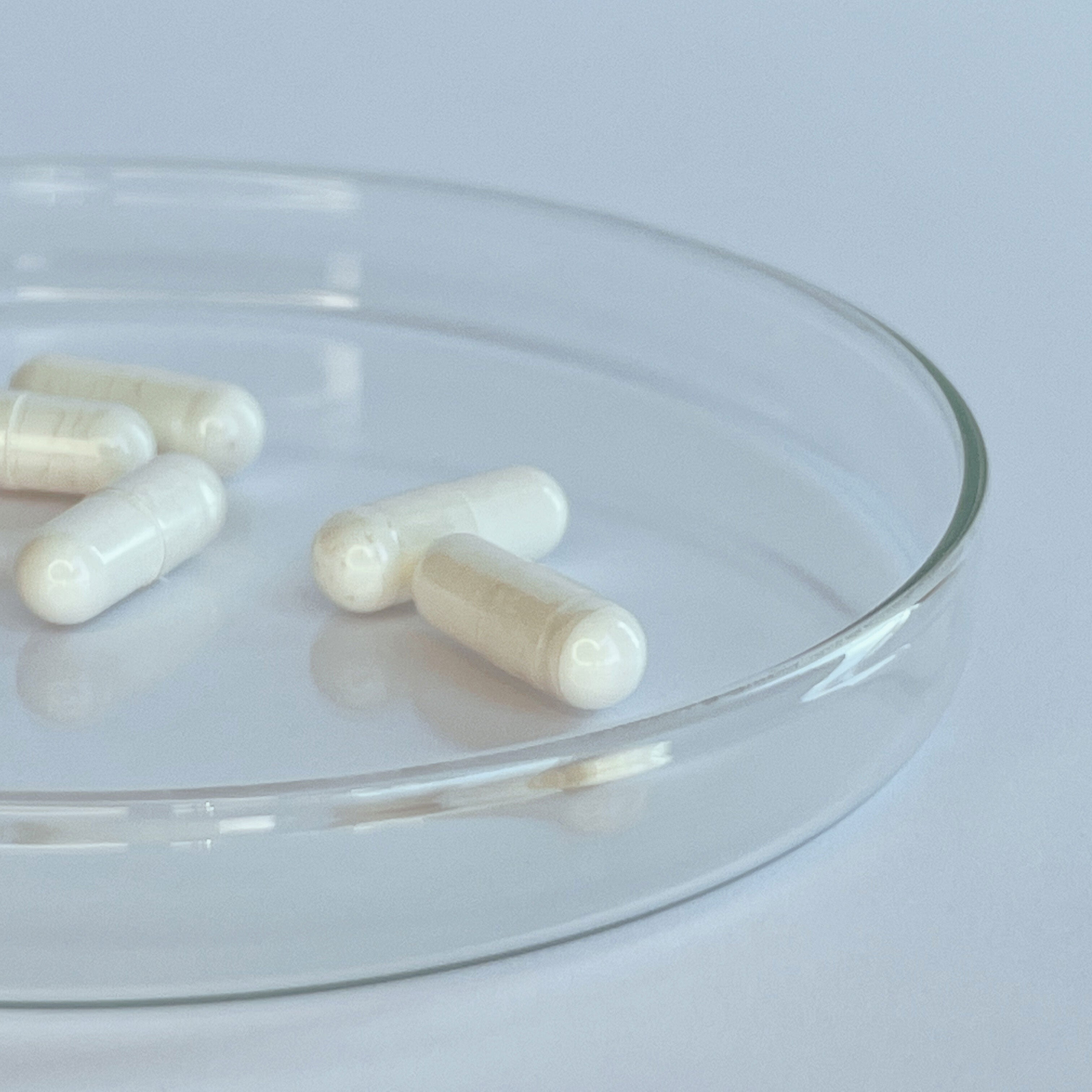 Trans Resveratrol Capsules 300mg (30 servings, 60 caps)