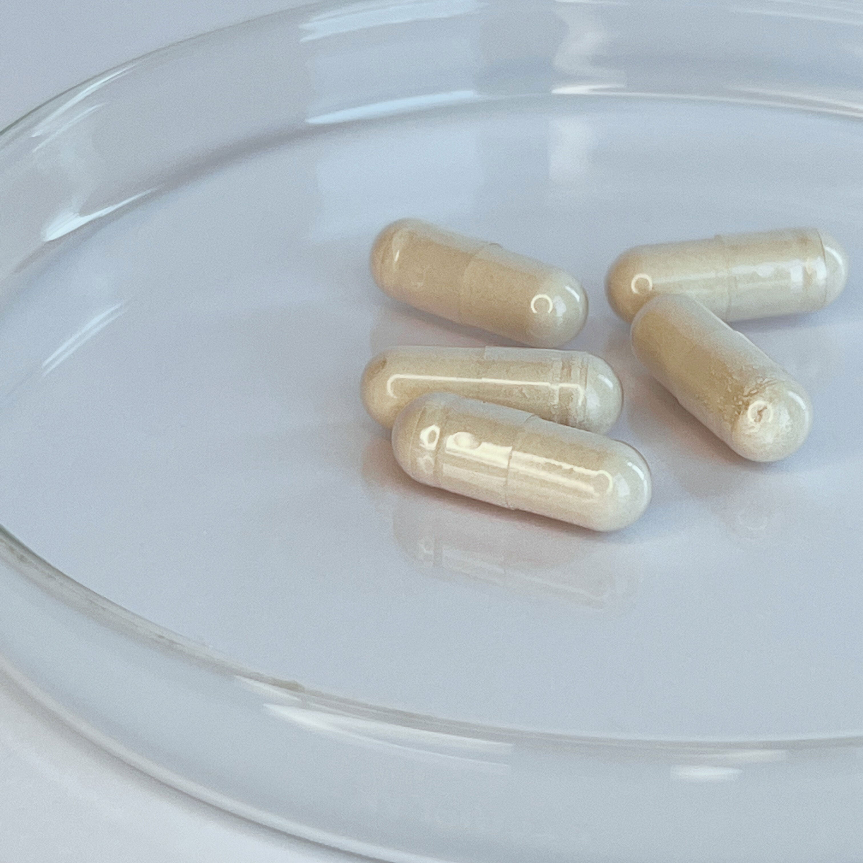 Spermidine Capsules 3mg (30 servings, 60 caps)