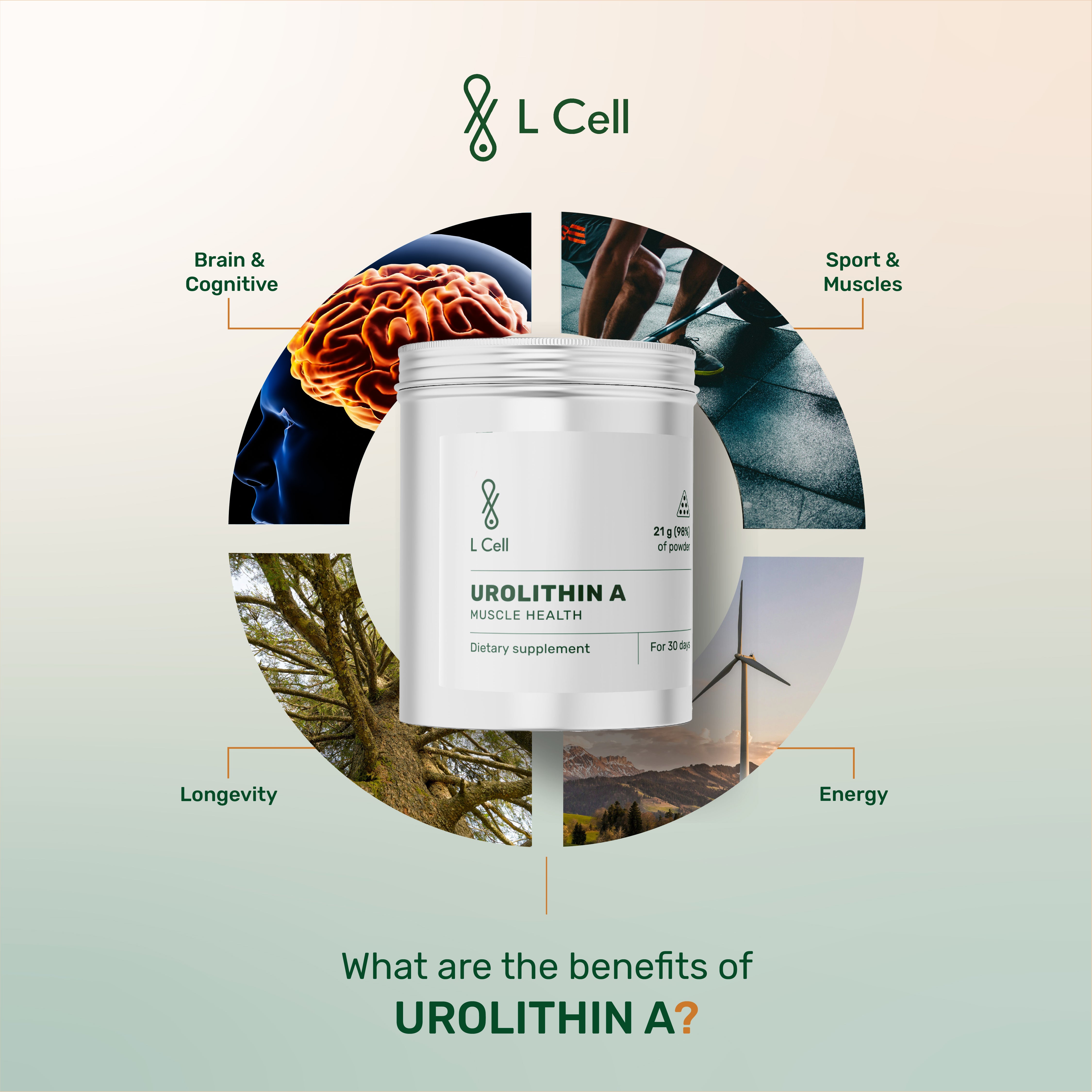 Urolithin A Powder 21g (30 servings, >98% purity)